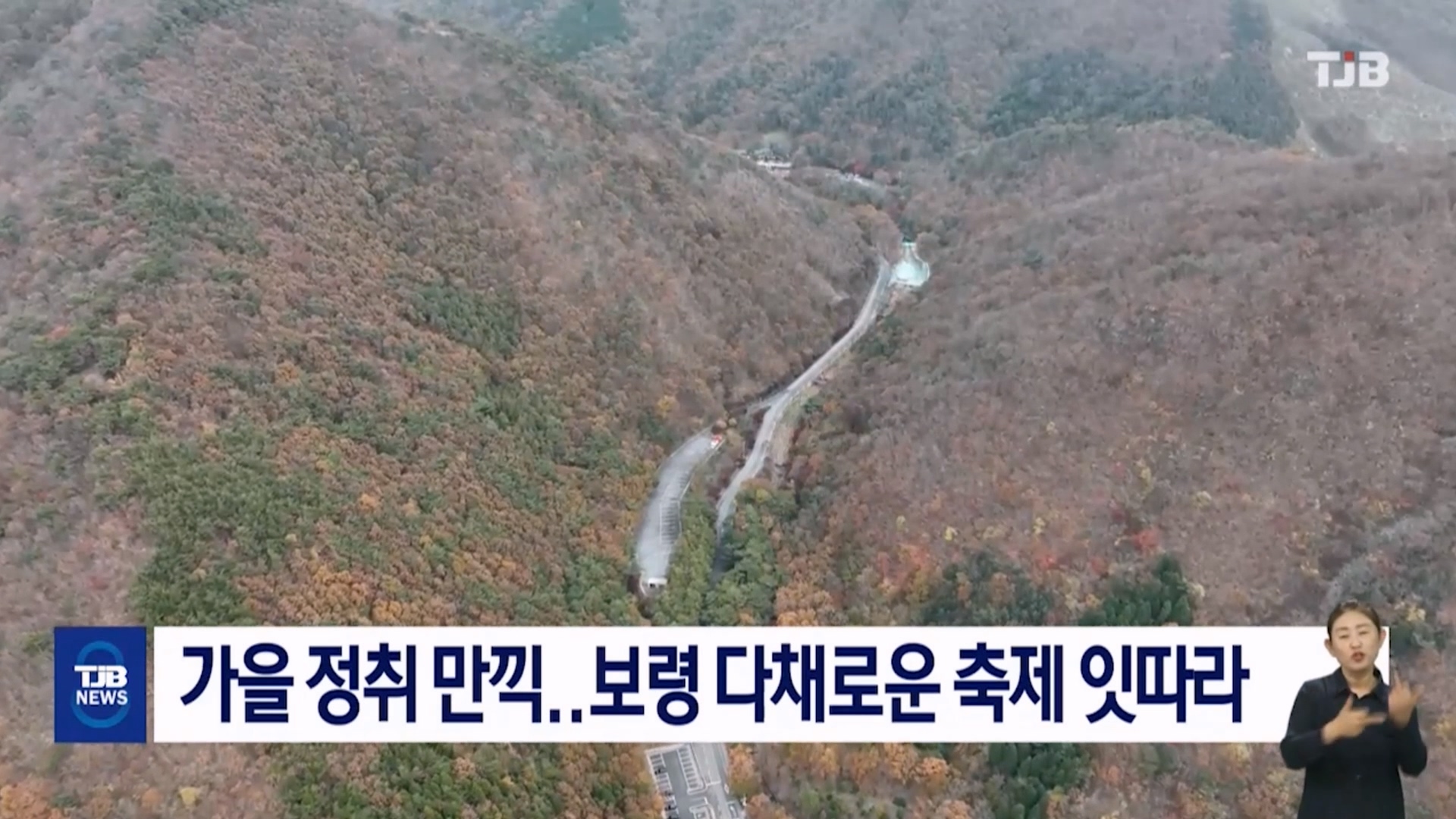 [1024 TJB 8시뉴스데스크]'가을정취만끽 보령 다채로운 축제 잇따라